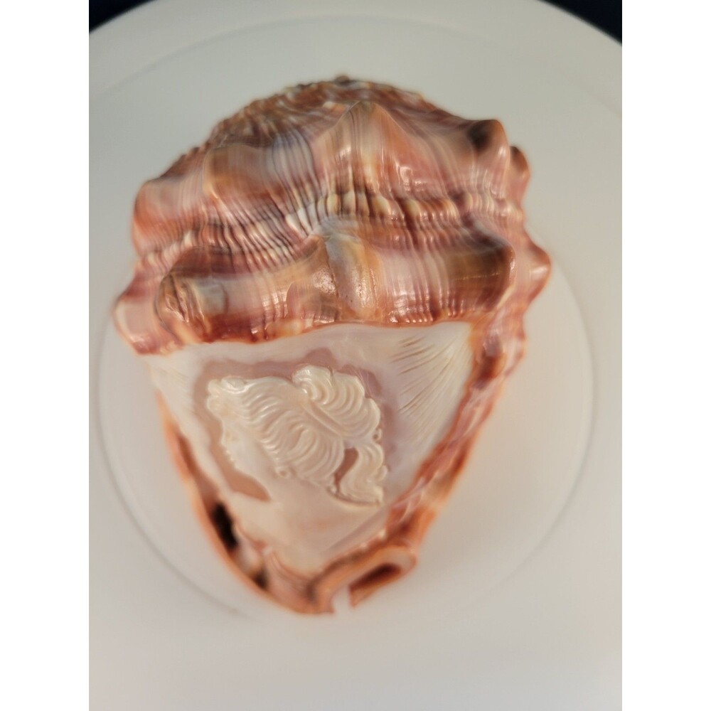 Italian Carved Woman's Cameo Conch Shell, Seashell, Long Hair - Picture 3 of 5